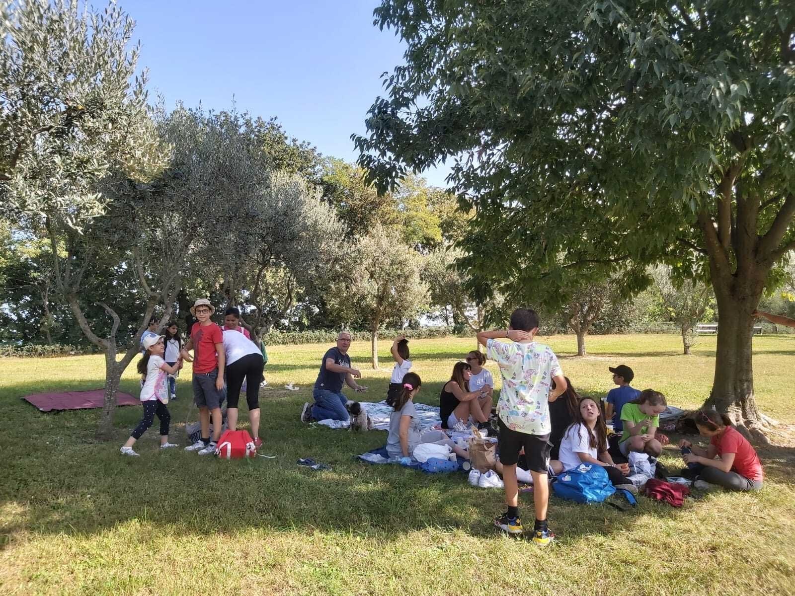 /media/images/Catullo-olive-harvest2.jpg