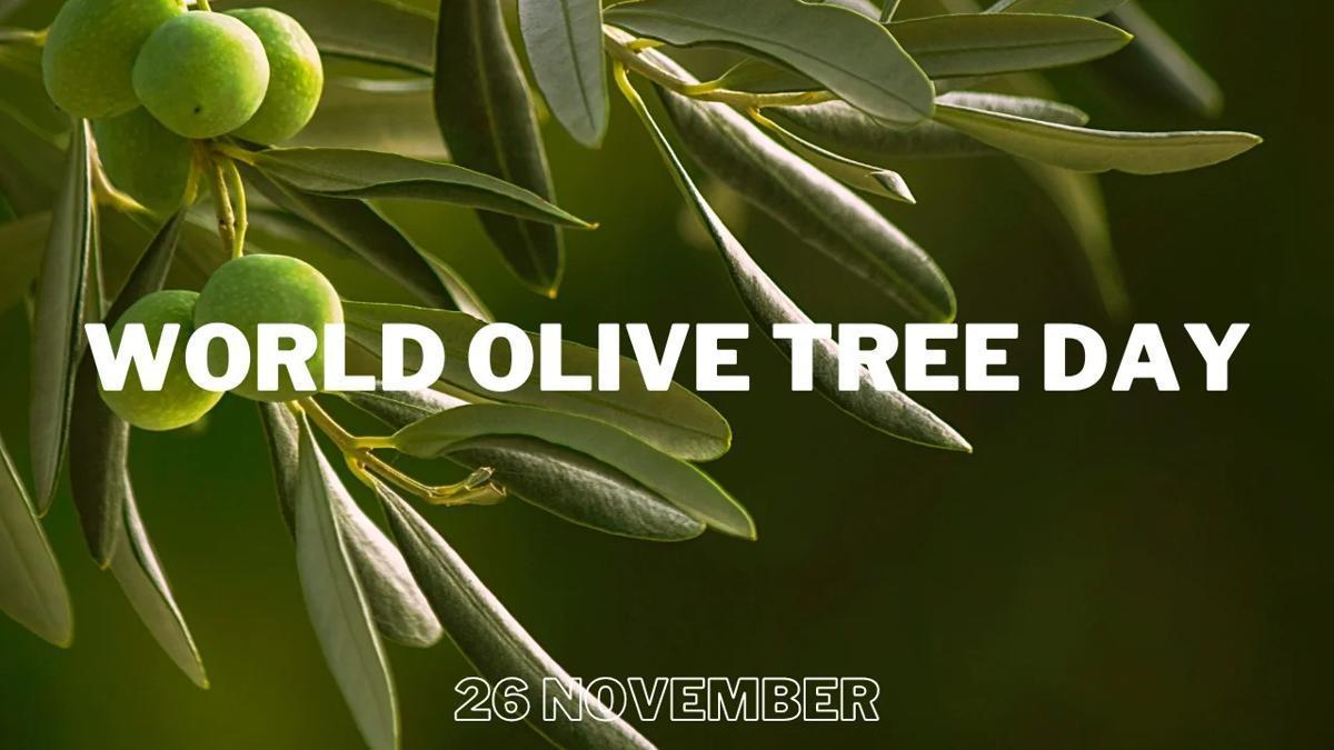 /media/images/World-Olive-Tree-Day-2023_jycA6o9_QeHlPN8.jpg