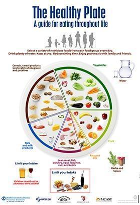 /media/images/med_diet_plate_h9SlcWL.jpg