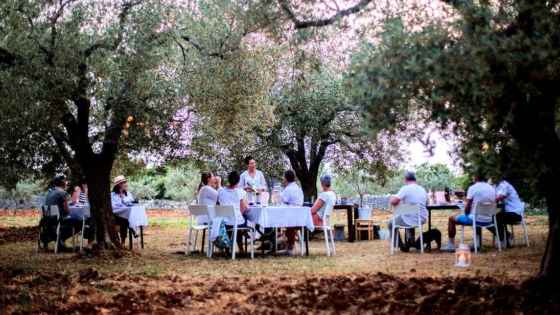 /media/images/olive_tourism.jpg
